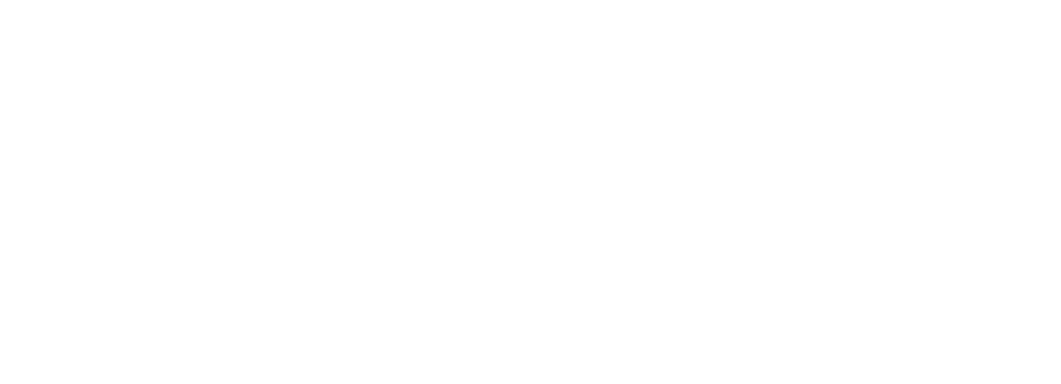 CMSI360